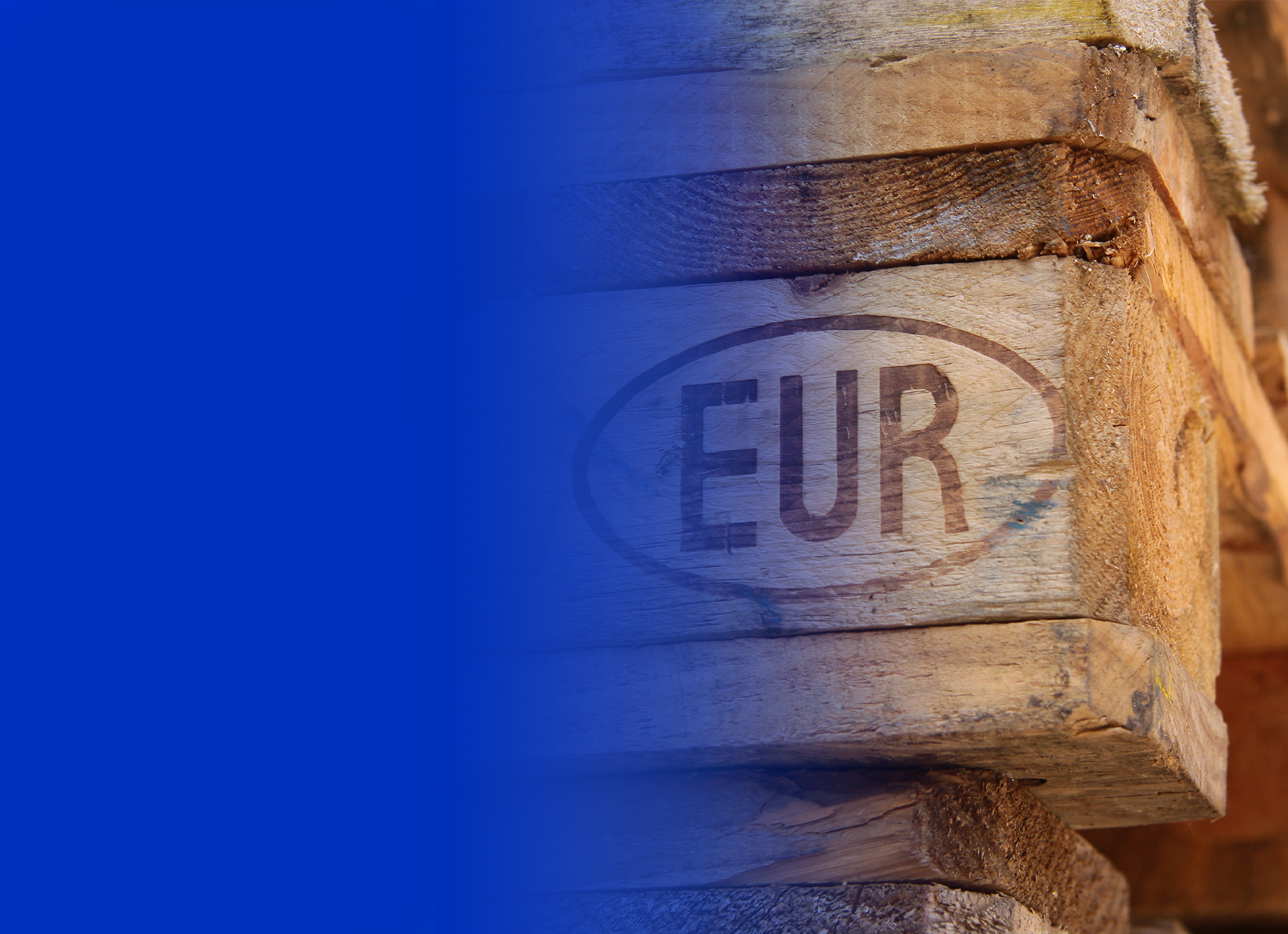 Banner: Palettenversand